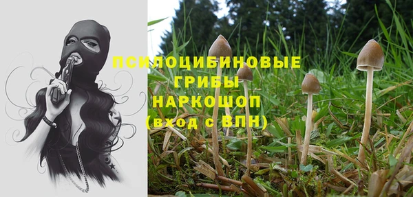 кокс Баксан